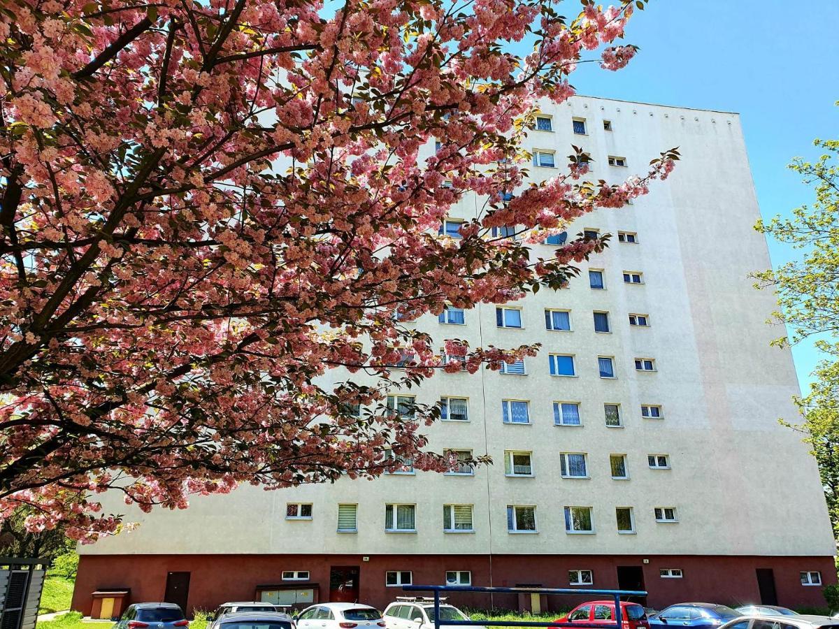 Happy * Gliwice